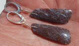 Gorgeous Agatized Dinosaur Bone (Gembone) Earrings #54081-9